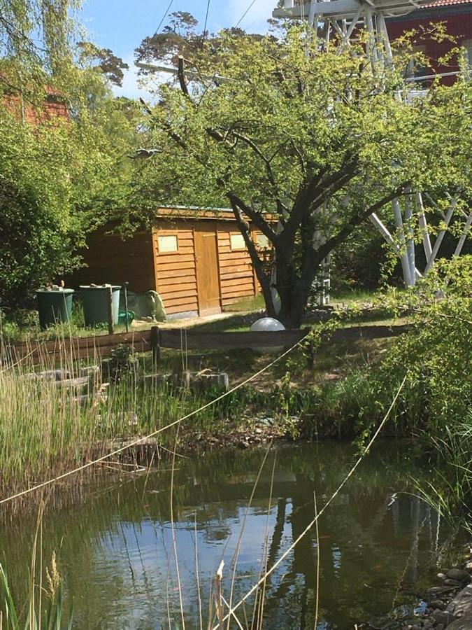 Ostseebad KühlungsbornFewo Schwalbennest Am Meer-Exklusiv-Eigener Strandzugang公寓 外观 照片