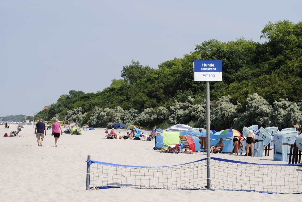 Ostseebad KühlungsbornFewo Schwalbennest Am Meer-Exklusiv-Eigener Strandzugang公寓 外观 照片